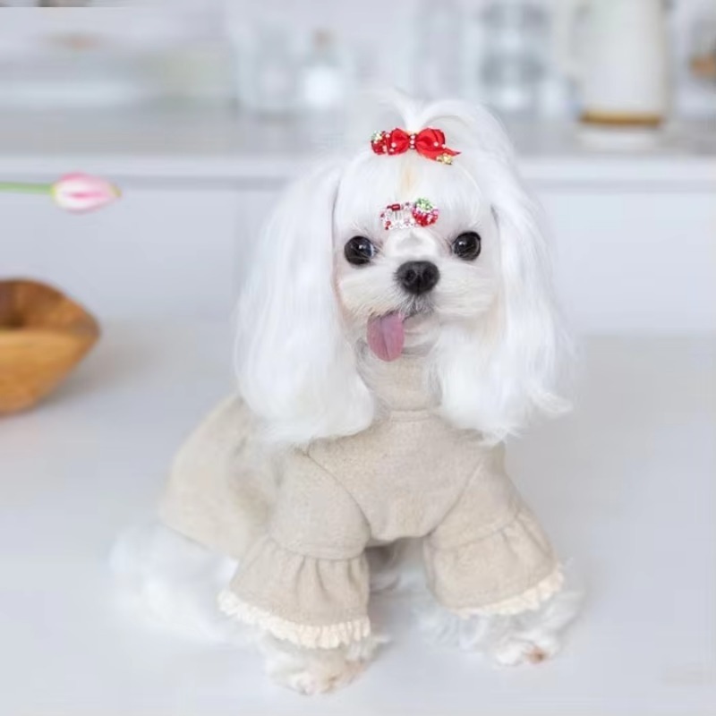 Ropa para mascotas de gama alt - Winter Clothing On Sale reseña y precio