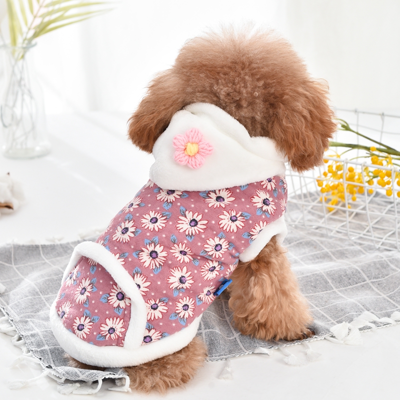 En Oferta: Sudadera con Capuch - Winter Clothing On Sale reseña y precio
